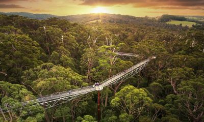 Valley of the Giants Treetop Walk and Ancient Empires Sunset